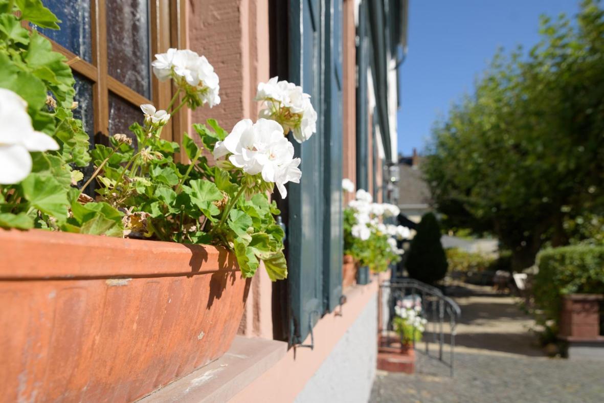 Krone Martinsthal Eltville am Rhein Εξωτερικό φωτογραφία